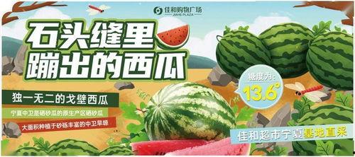 热门大瓜每日大赛