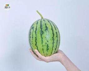 网红热瓜 首次独家爆料在线揭秘,首次深度解析幕后真相